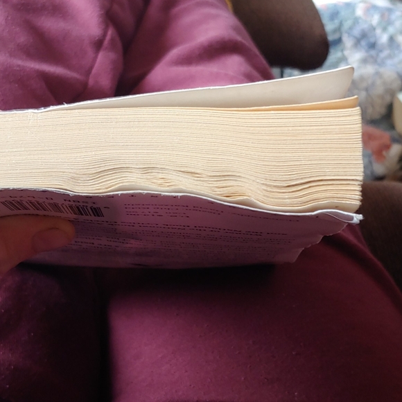 All the Pretty Horses - Picture 2 of 3